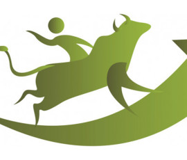 नेप्सेमा दोस्रो सर्किट ब्रेक, कारोबार ४० मिनेटका लागि स्थगित