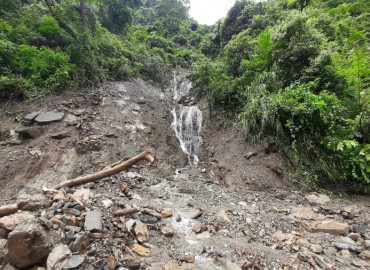 category photo