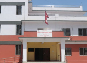 category photo