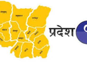 category photo