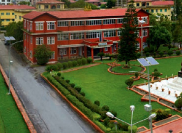 category photo