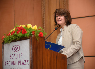 category photo