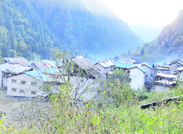 category photo