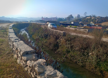 category photo