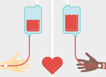 category photo