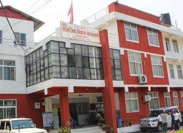 category photo