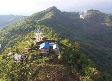 category photo