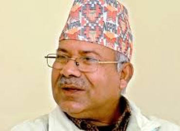 category photo