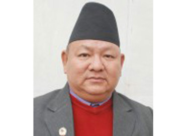 category photo