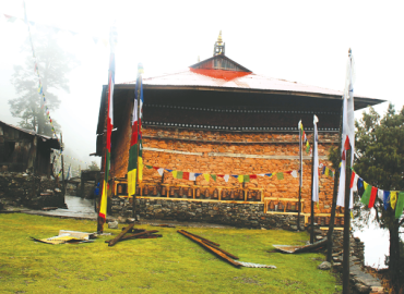 category photo