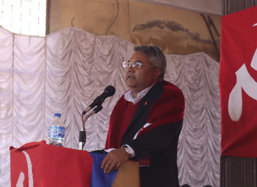 category photo