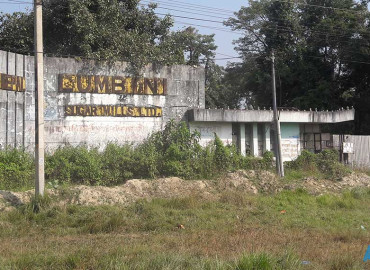 category photo