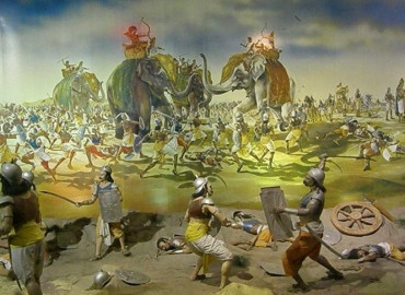 category photo