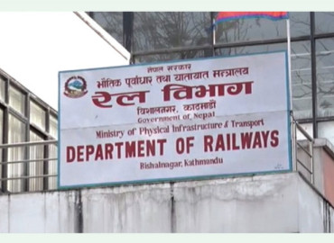 category photo