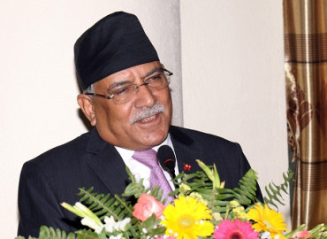 category photo
