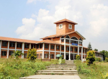 category photo