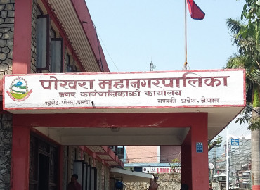category photo