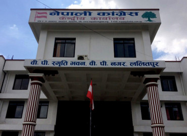 category photo