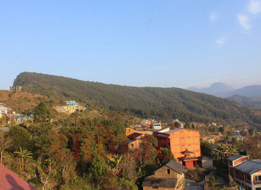category photo