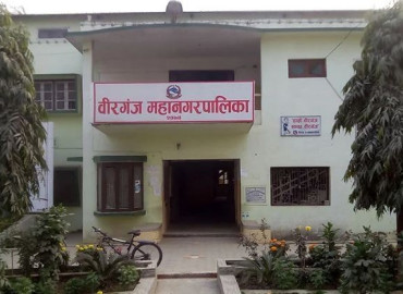category photo
