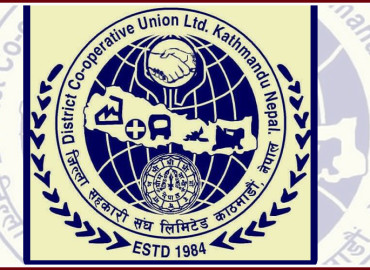 category photo