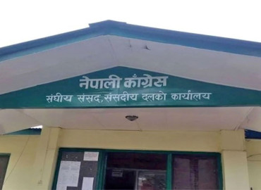category photo