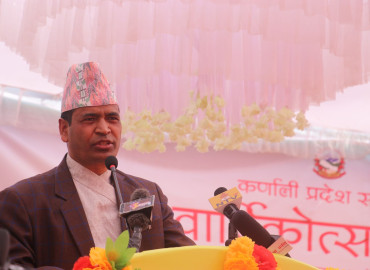 category photo