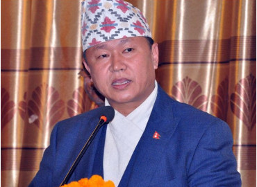 category photo