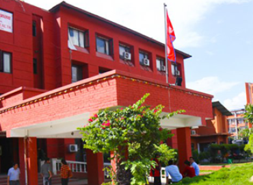 category photo