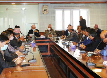 category photo