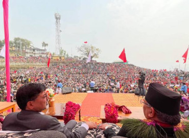 category photo