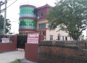 category photo