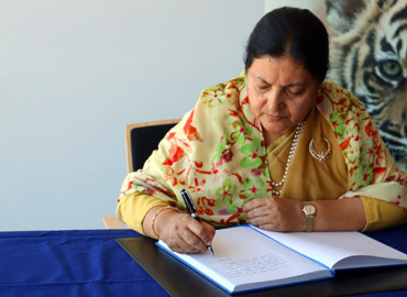 category photo