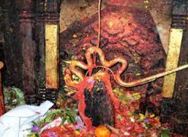 category photo