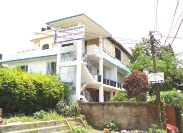 category photo