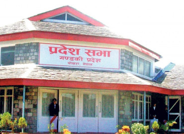 category photo
