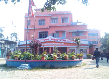 category photo
