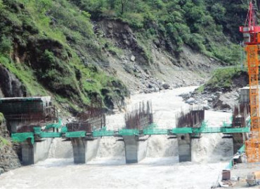 category photo