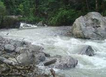 category photo