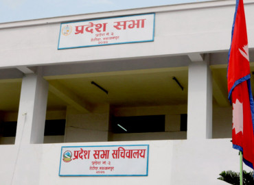 category photo