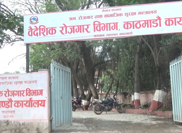 category photo