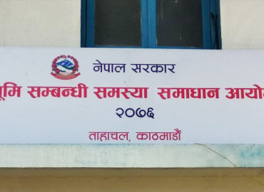 category photo