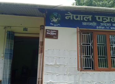 category photo