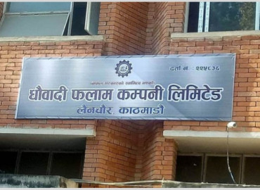 category photo