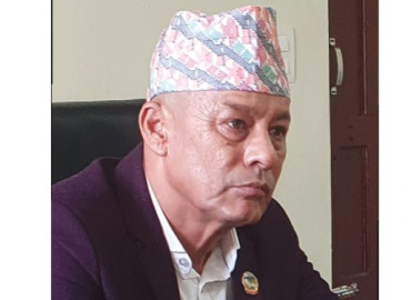 category photo