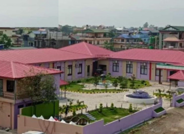 category photo