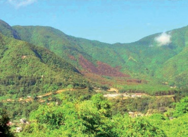 category photo