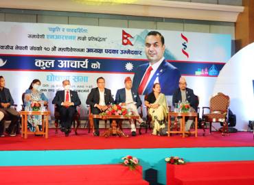 category photo