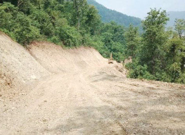 category photo