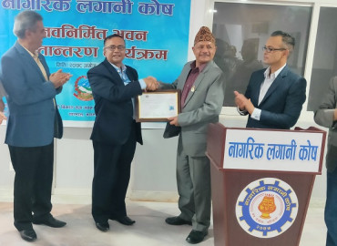 category photo